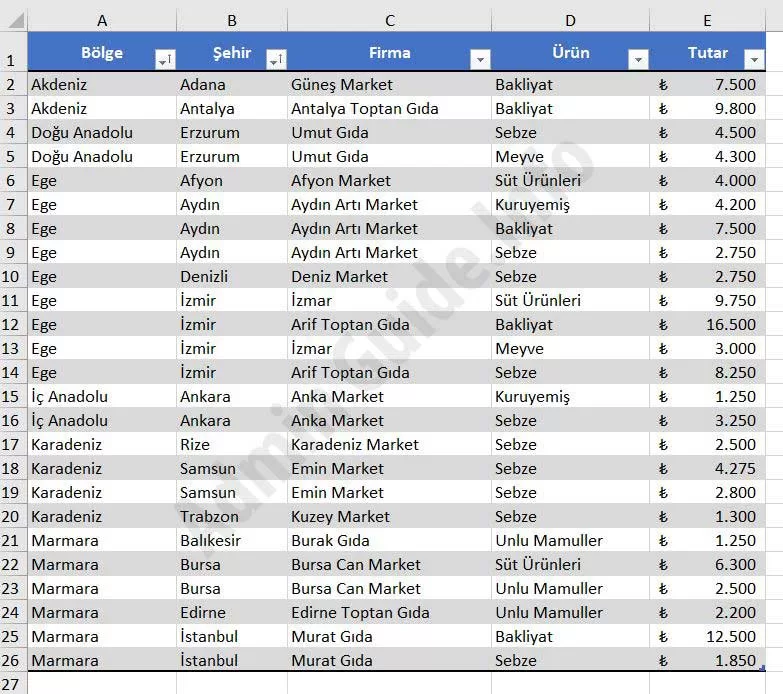 Excel - ÇOKETOPLA